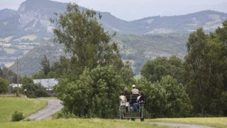 RESULTATS DU REFERENDUM SUR L'AVENIR DE LA STATION DU GRAND PUY