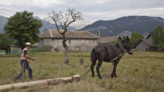 RESULTATS DU REFERENDUM SUR L'AVENIR DE LA STATION DU GRAND PUY