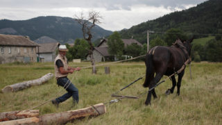 RESULTATS DU REFERENDUM SUR L'AVENIR DE LA STATION DU GRAND PUY