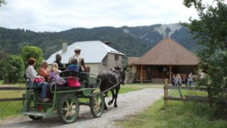 RESULTATS DU REFERENDUM SUR L'AVENIR DE LA STATION DU GRAND PUY