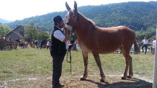 RESULTATS DU REFERENDUM SUR L'AVENIR DE LA STATION DU GRAND PUY