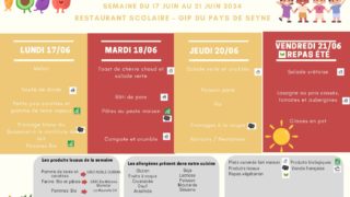 RESULTATS DU REFERENDUM SUR L'AVENIR DE LA STATION DU GRAND PUY