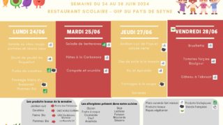 RESULTATS DU REFERENDUM SUR L'AVENIR DE LA STATION DU GRAND PUY