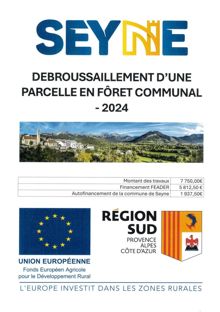 DEBROUSSAILLEMENT D’UNE PARCELLE EN FORET COMMUNAL